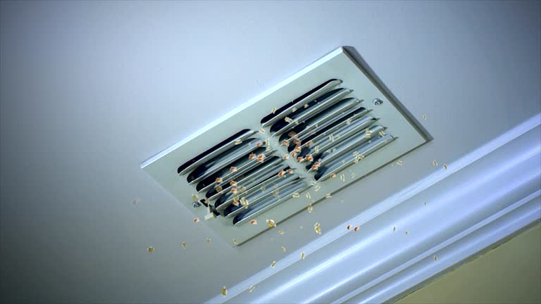 Best Best Air Duct Cleaning Company  in Puyallup, WA