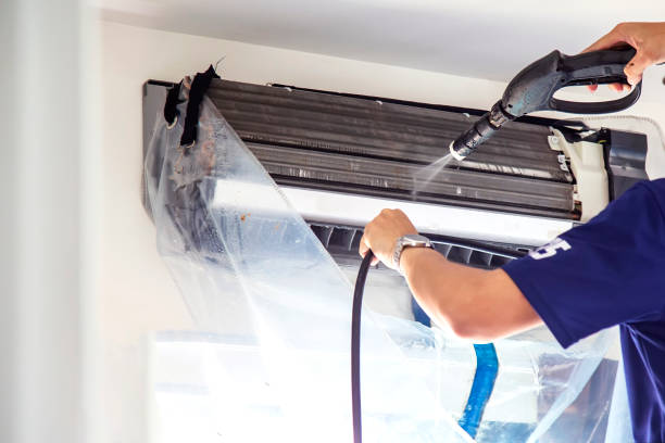 Best Air Duct Mold Removal  in Puyallup, WA