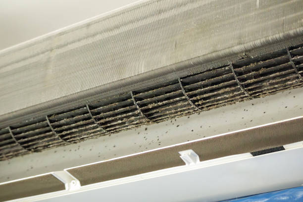 Best Ductwork Cleaning Services  in Puyallup, WA
